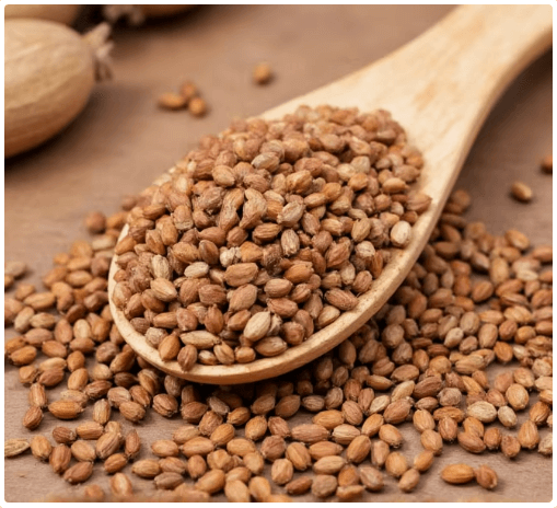 Cumin seeds